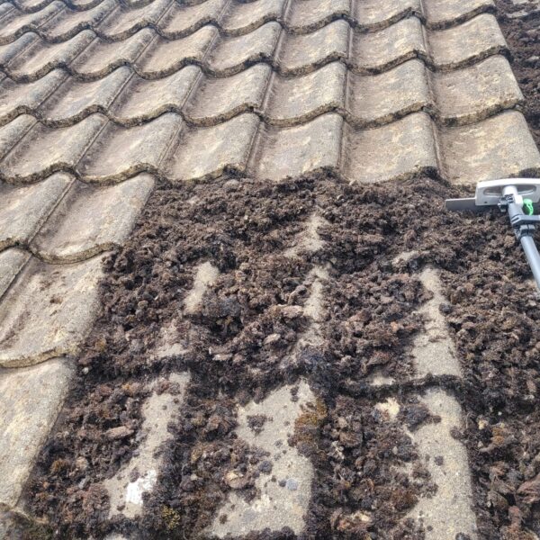 Roof Cleaing in South Wales 6