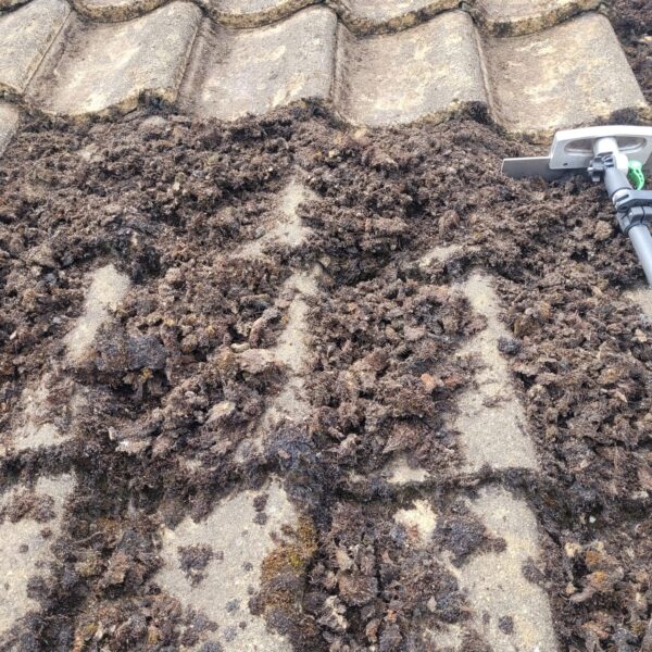 Roof Cleaing in South Wales 8